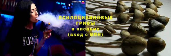 PSILOCYBIN Саяногорск