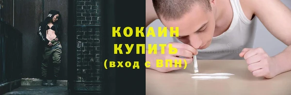 соль ск Волосово