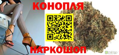 соль ск Гатчина