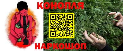 соль ск Гатчина