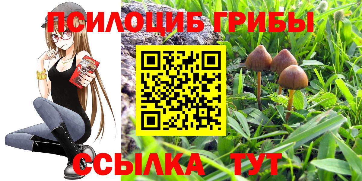 Псилоцибиновые грибы мухоморы Калининград