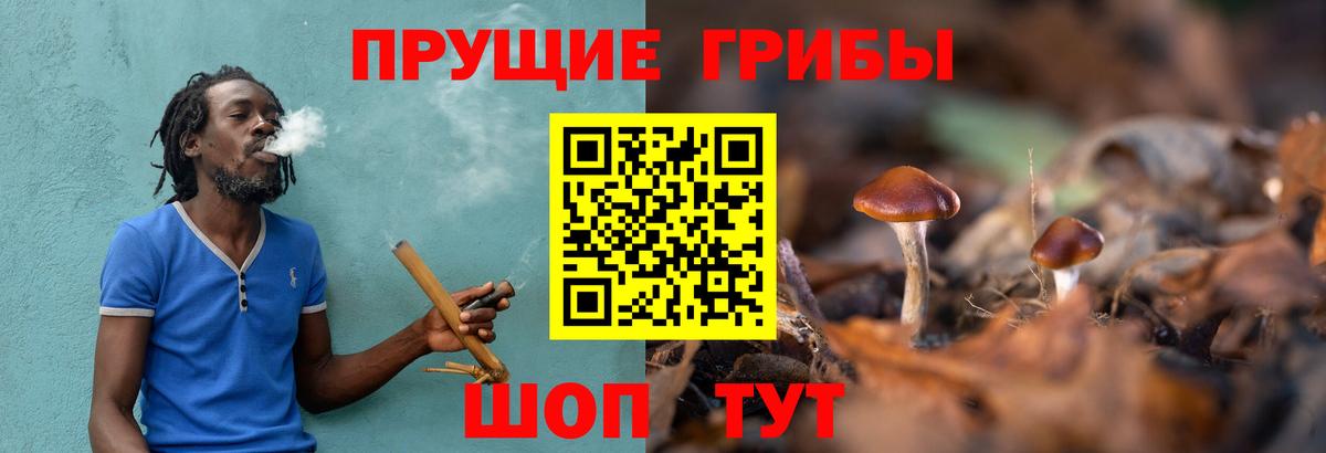 Псилоцибиновые грибы MAGIC MUSHROOMS  Вход с VPN  Калининград 