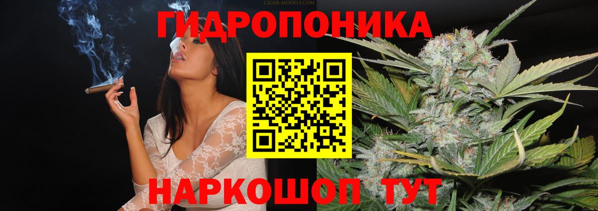 Конопля SATIVA & INDICA Калининград